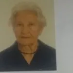 Kata Vlajisavljević pomen